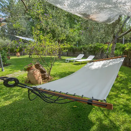 Sicily's View Πανσιόν Mascalucia