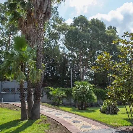 Sicily's View بيت ضيافة 3*