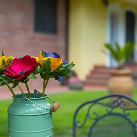 Sicily's View Vendégház Mascalucia