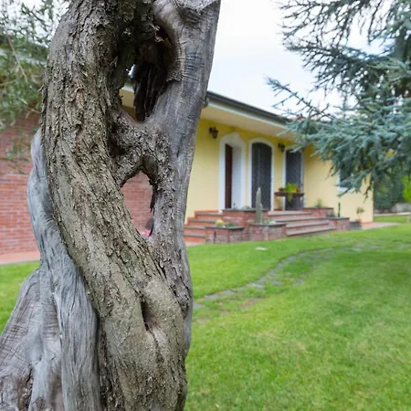 Πανσιόν Sicily's View Mascalucia