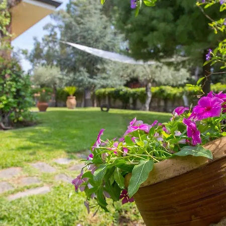 بيت ضيافة Sicily's View ماسكالوتشا